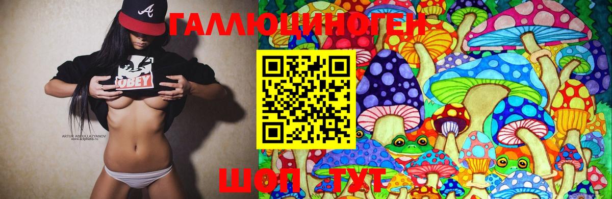 Галлюциногенные грибы Psilocybine cubensis Нальчик