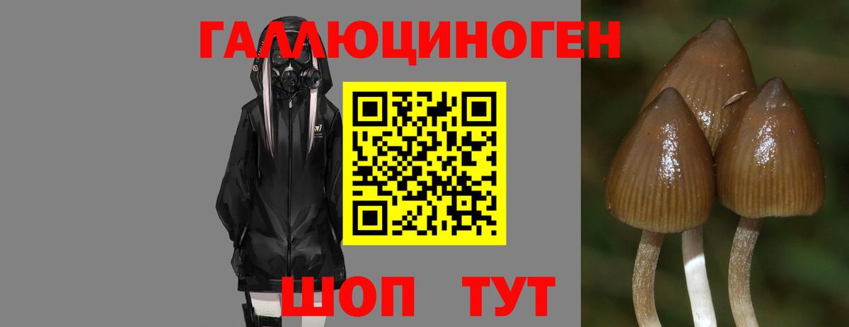 ГАШ  Меф МЯУ МЯУ кристаллы  Alpha-PVP СК кристаллы  Каннабис  COCAIN  ГАШИШ  Нальчик  Меф МЯУ МЯУ кристаллы  ГЕРОИН  Вейп ТГК 